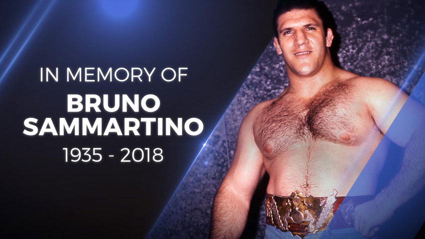 Bruno Sammartino