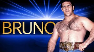Bruno Sammartino