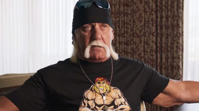 Hulk Hogan wwe return