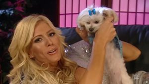 Torrie Wilson reveals her dog Chloe of 17 years has passed away