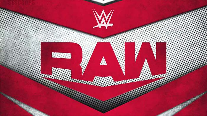 naturalizer flexy leather flat