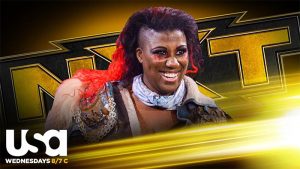 WWE NXT Preview