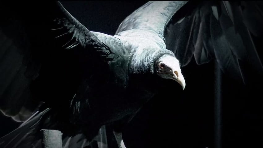 Karrion Kross return teased on Sunday night