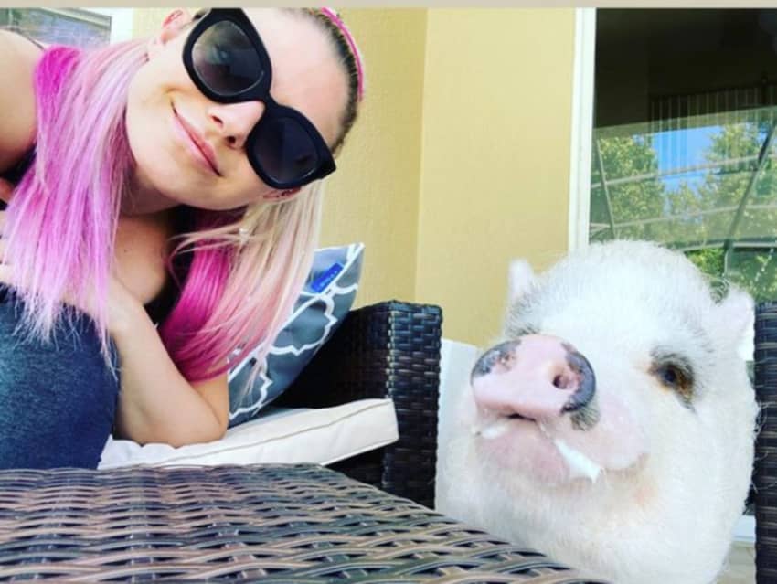Alexa Bliss thanks fans for their support following the death of her pig