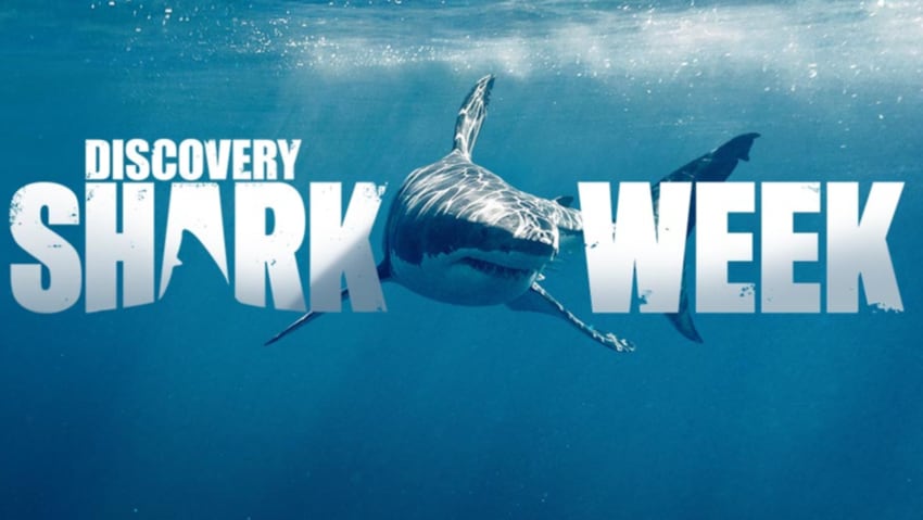 WWE Raw Superstar to appear on Discovery's Shark Week