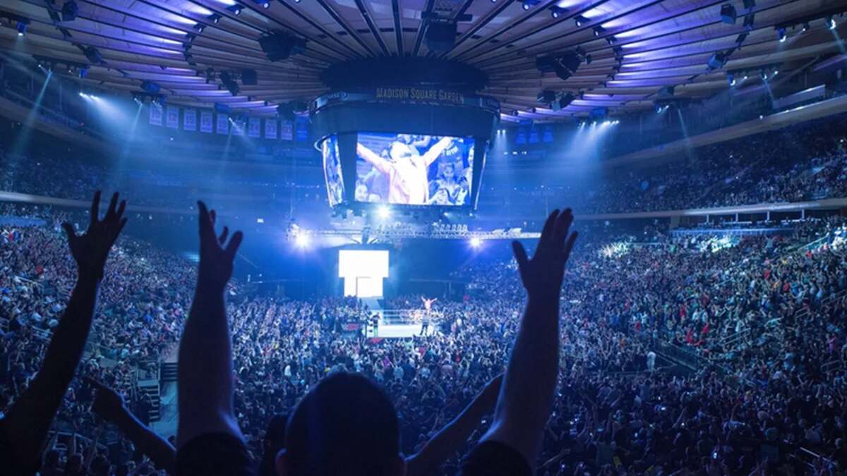 wwemsg.jpg