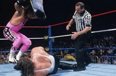 WWF Survivor Series 1995 Results